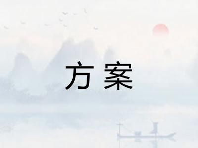 方案