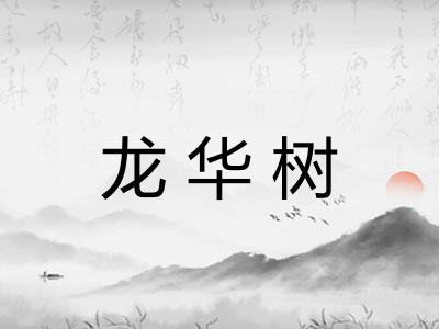 龙华树