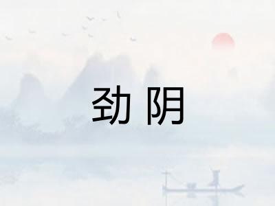 劲阴