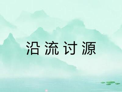 沿流讨源