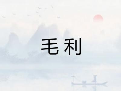 毛利