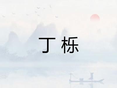 丁栎