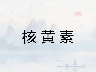 核黄素