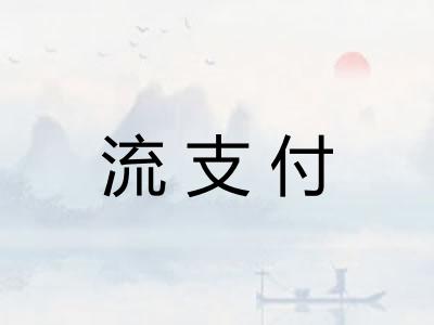 流支付