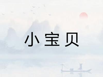 小宝贝