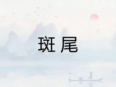 斑尾