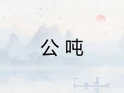 公吨