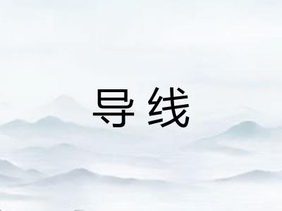 导线