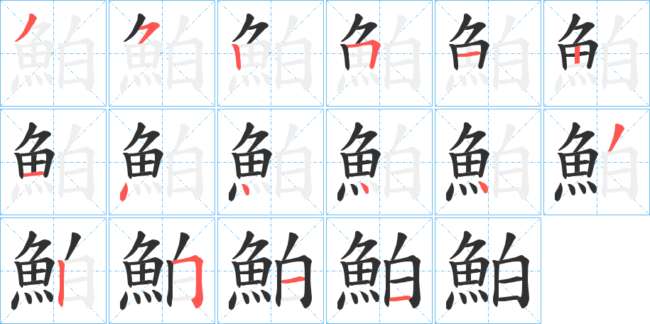 鮊的笔顺分步演示图