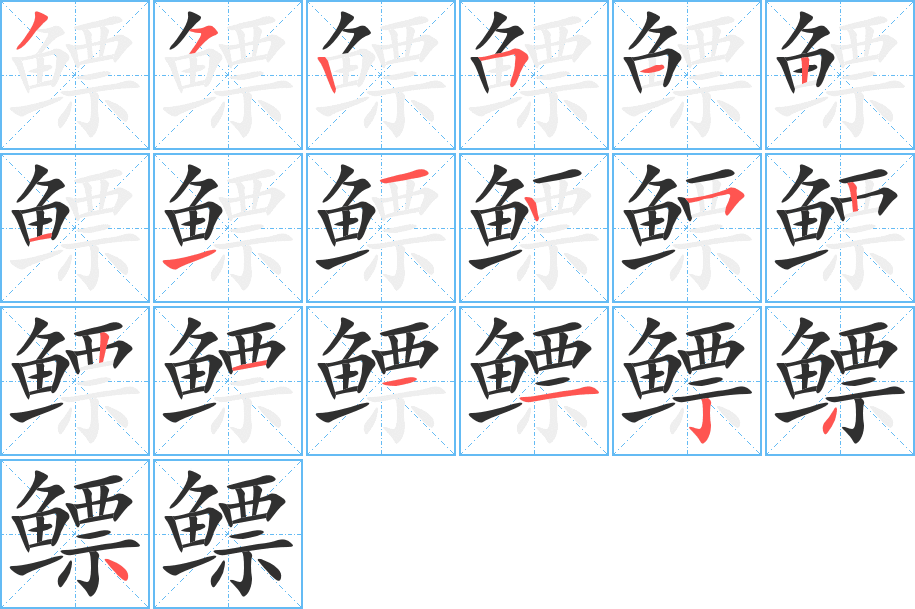 鳔的笔顺分步演示图